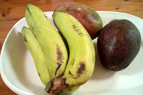 Das Foto zeigt eine Obstschale mit Bananen, einer Mango, einer Avocado und einer Limette.