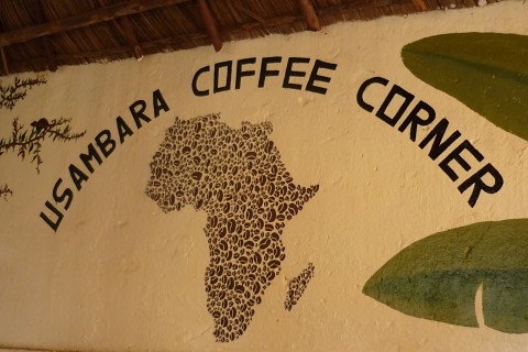 Das Bild zeigt eine Wandbemalung, die eine aus Kaffeebohnen bestehende Zeichnung von Afrika enthält. Rechts ragen zwei gemalte Palmenblätter herein, links Zweige eines Hibiskusstrauchs