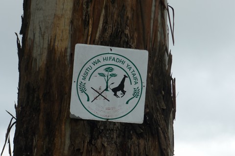 Ein Schild an einem Baum, auf dem ein durchgestrichenes Feuer und eine Giraffe zu sehen sind.