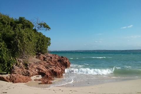 Das Foto zeigt den Strand der Insel Bongoyo und das Meer